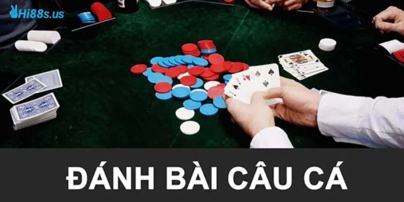 Mẹo chơi bài câu cá hiệu quả từ cao thủ chuyên nghiệp chia sẻ