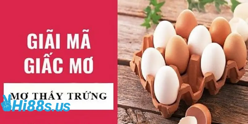 Chi tiết ý nghĩa giấc mơ thấy trứng gà và những điều liên quan